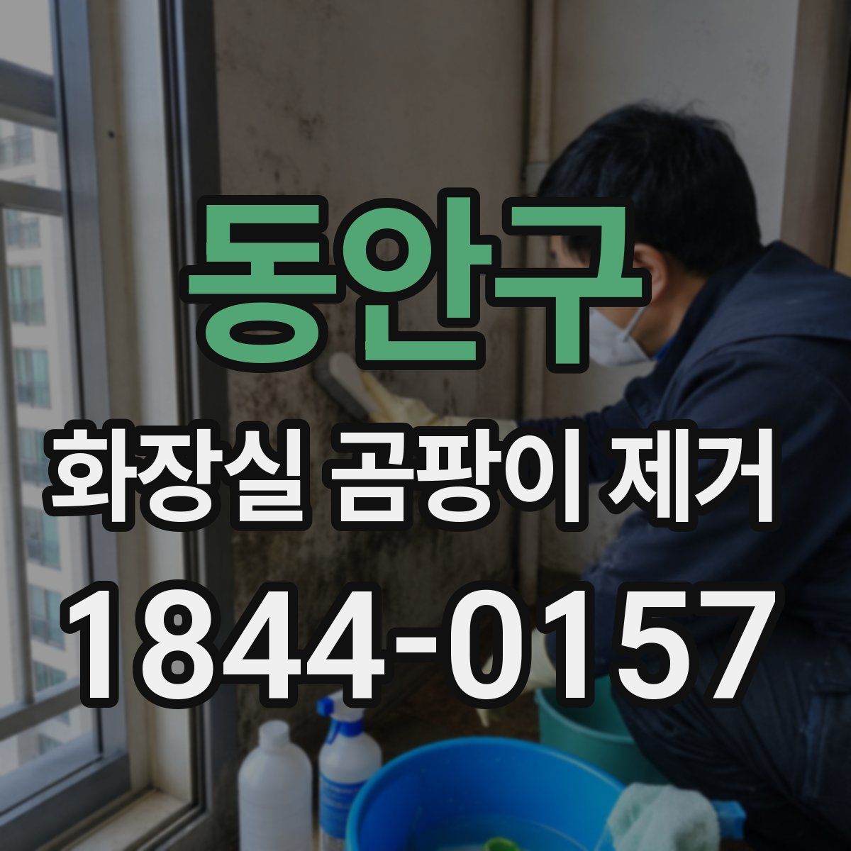 동안구 화장실 곰팡이 제거