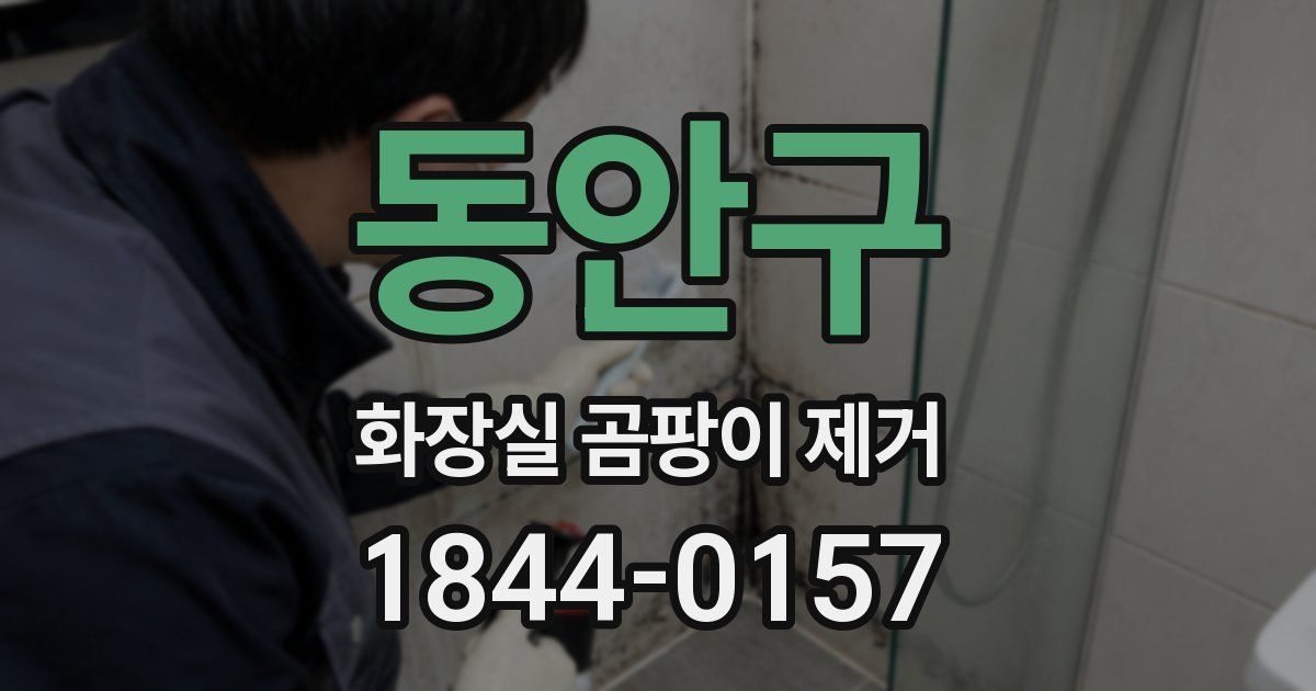 동안구 화장실 곰팡이 제거