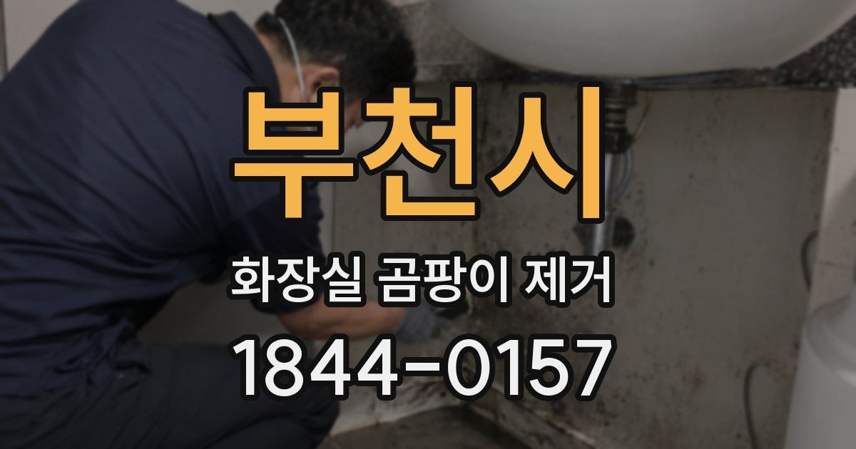 부천시 화장실 곰팡이 제거