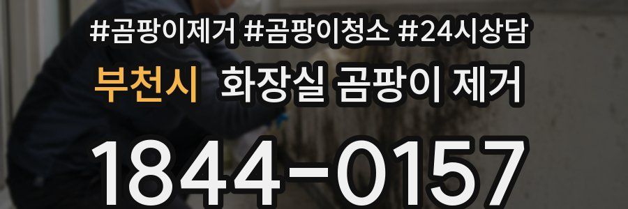 부천시 화장실 곰팡이 제거