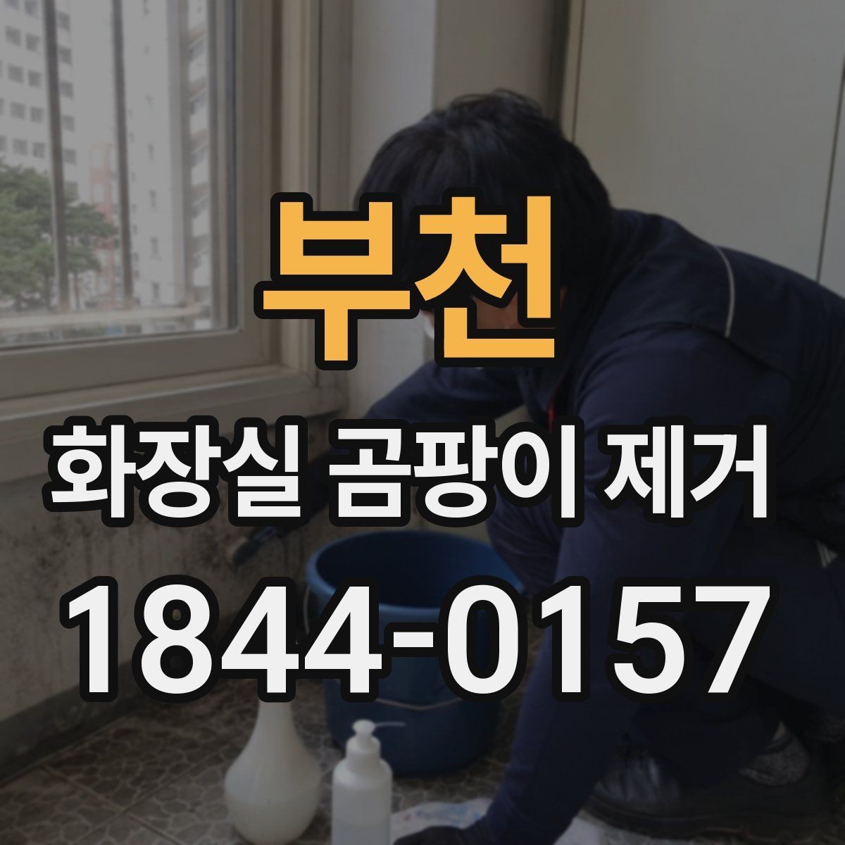 부천 화장실 곰팡이 제거 곰팡이 번식 원인부터 정리하는 과정