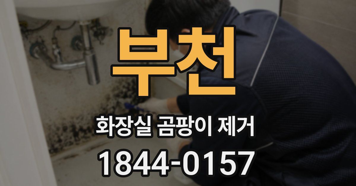 부천 화장실 곰팡이 제거