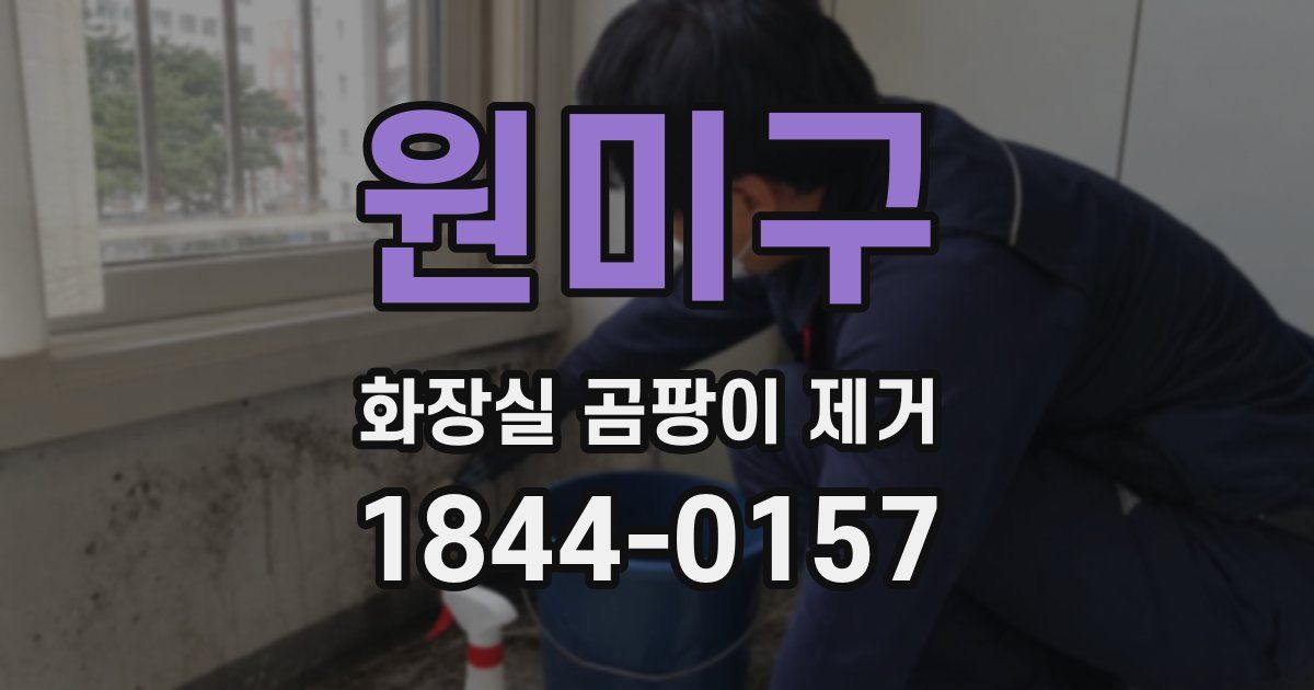 원미구 화장실 곰팡이 제거