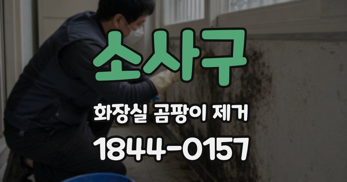 소사구 화장실 곰팡이 제거