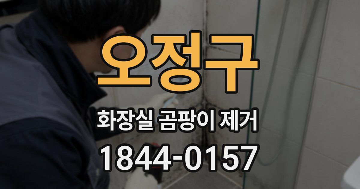 오정구 화장실 곰팡이 제거