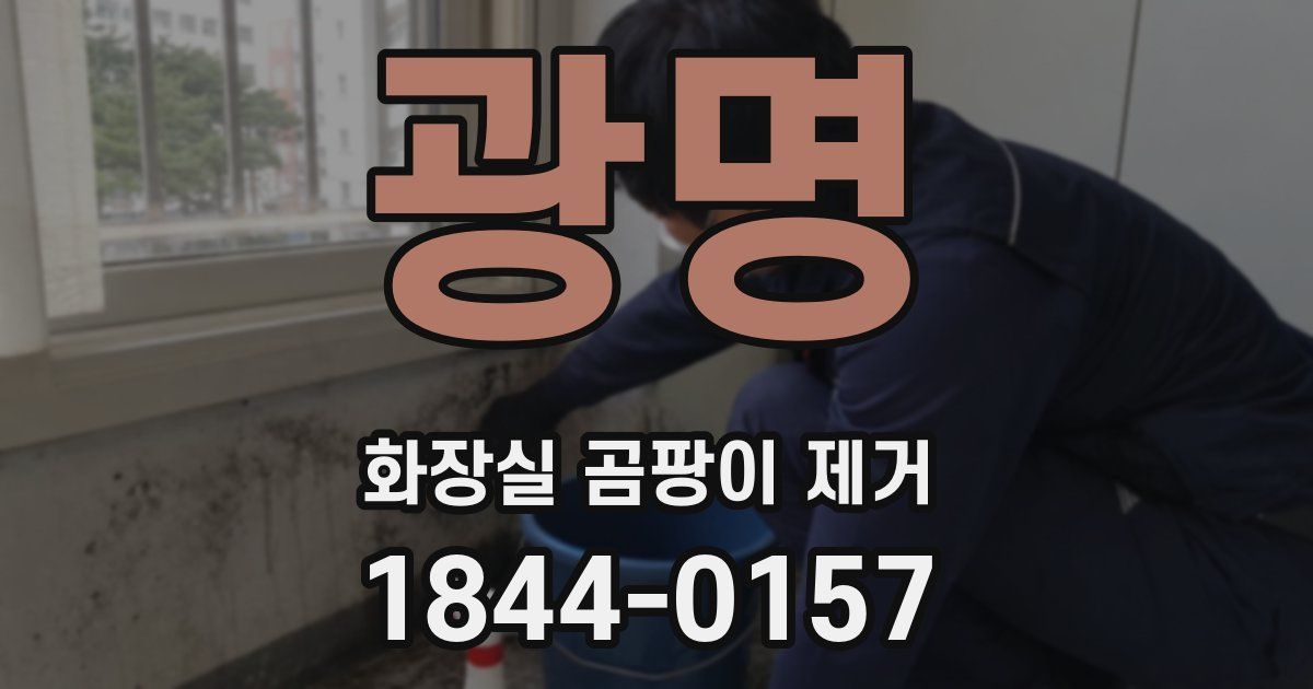 광명 화장실 곰팡이 제거