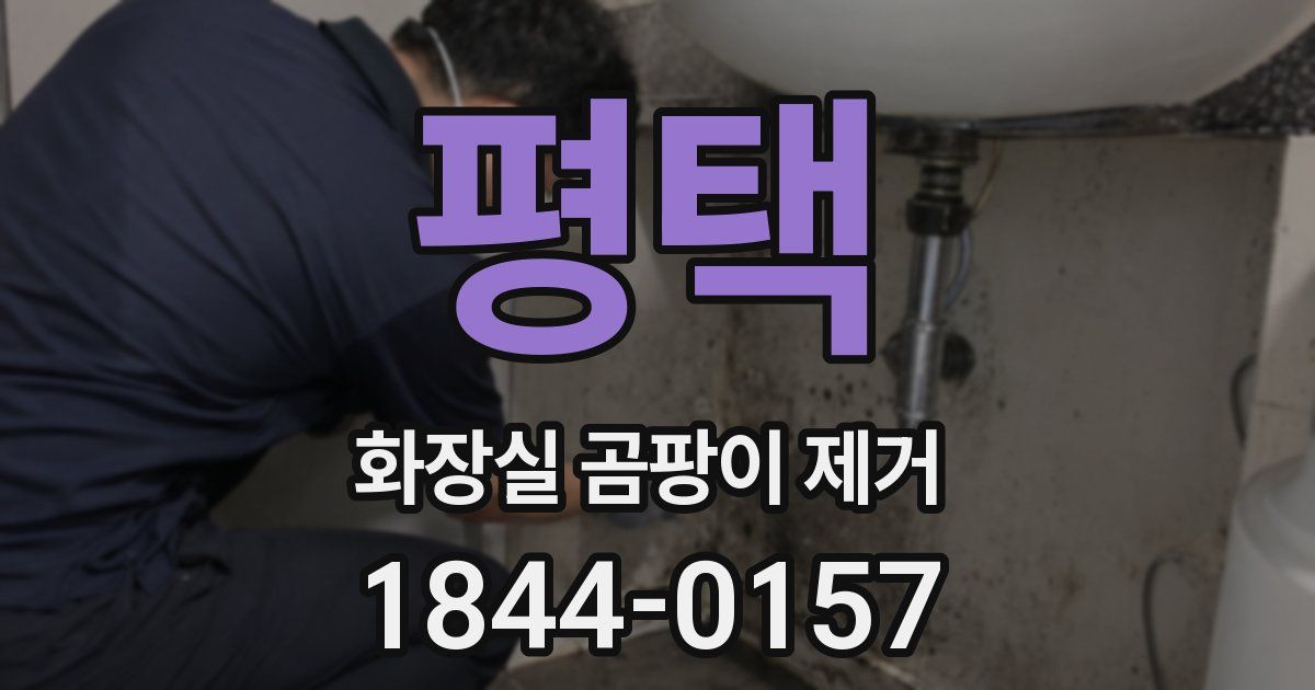 평택 화장실 곰팡이 제거