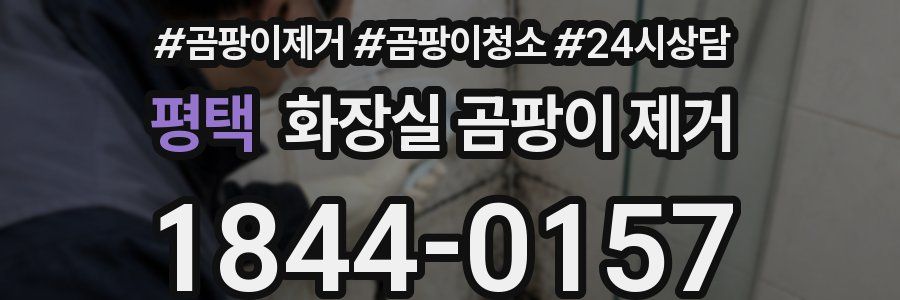 평택 화장실 곰팡이 제거