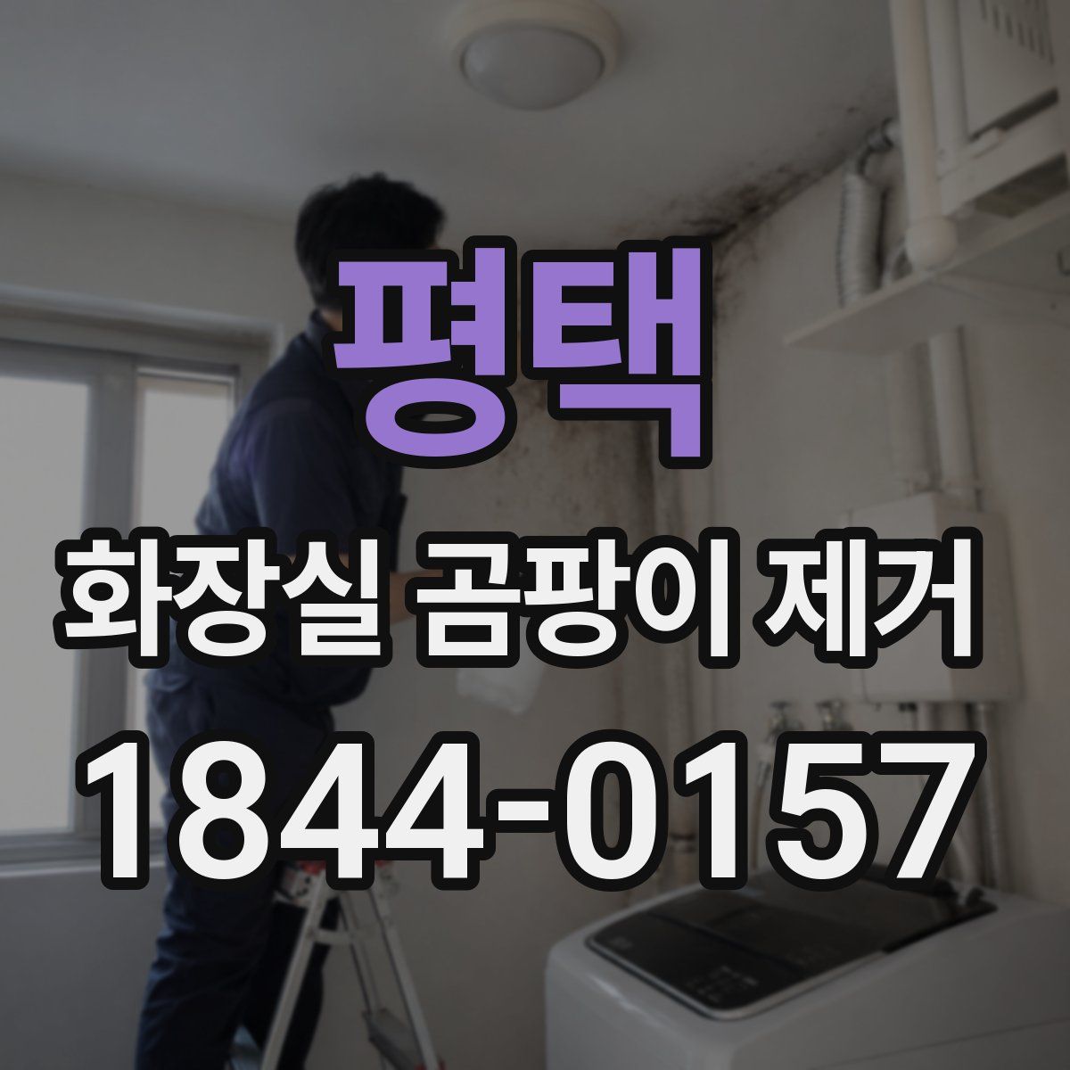평택 화장실 곰팡이 제거