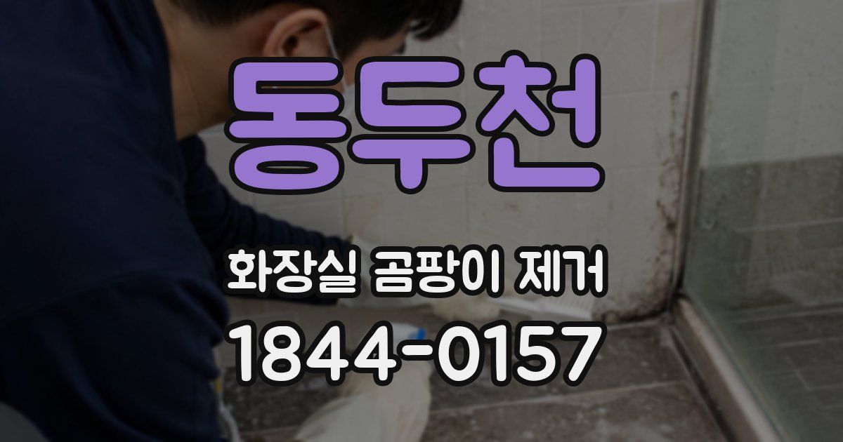동두천 화장실 곰팡이 제거