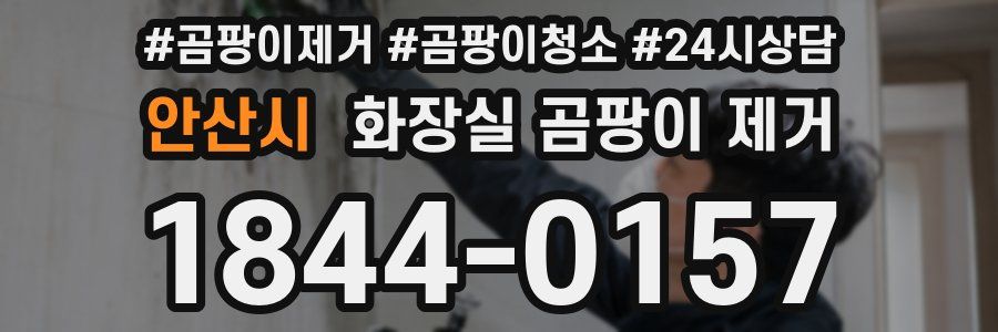 안산시 화장실 곰팡이 제거