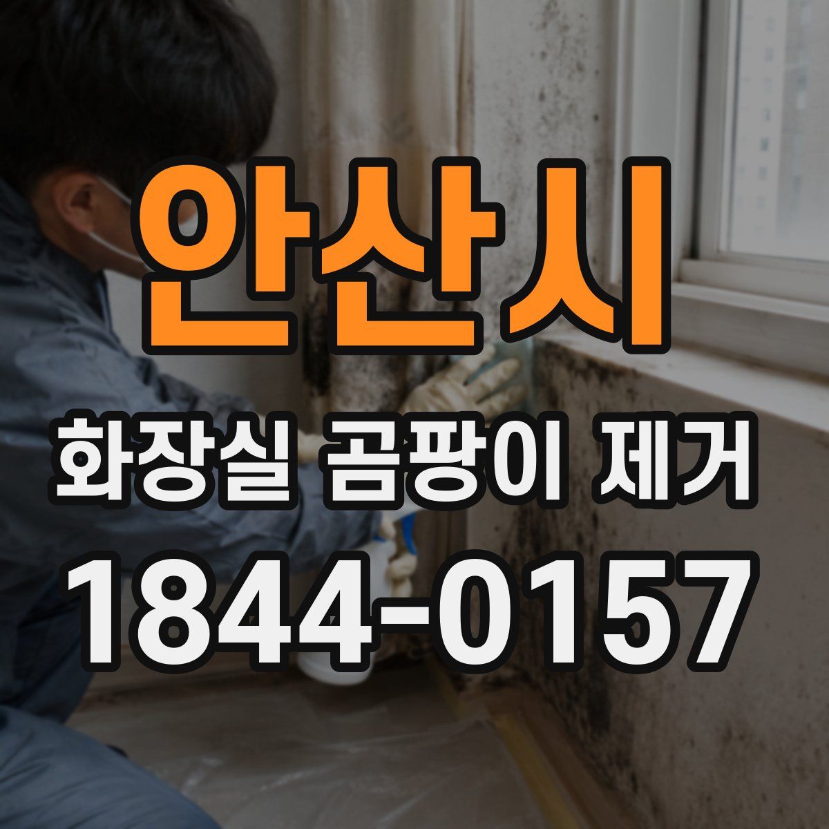 안산시 화장실 곰팡이 제거