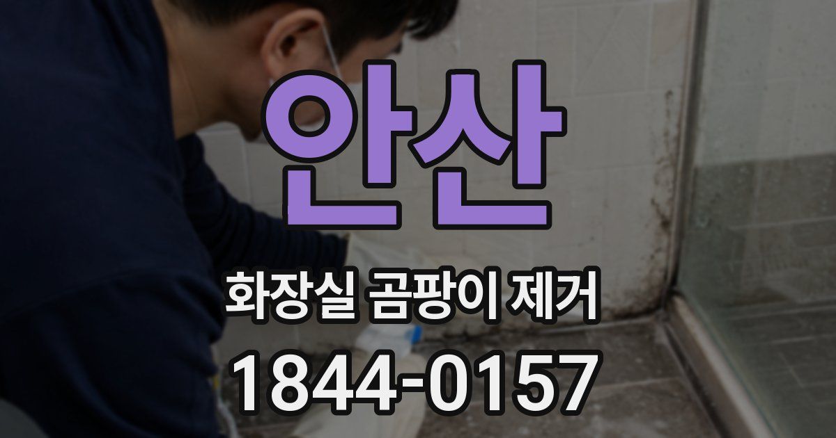 안산 화장실 곰팡이 제거
