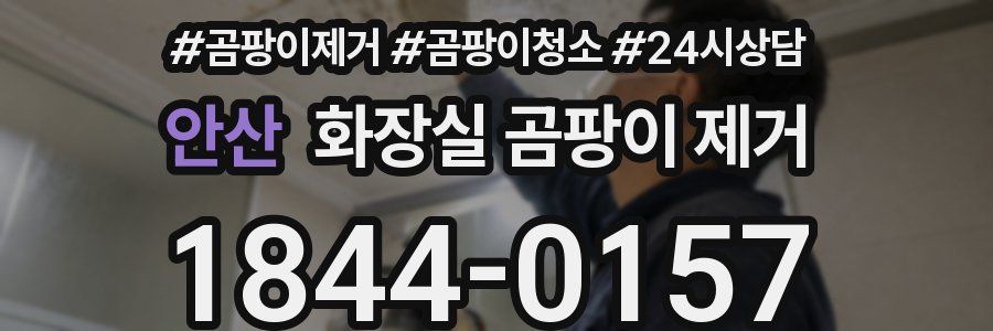안산 화장실 곰팡이 제거