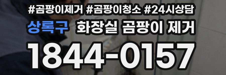 상록구 화장실 곰팡이 제거