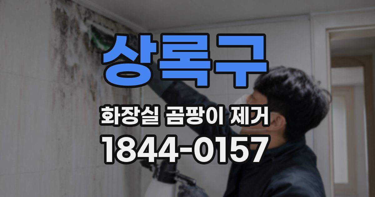 상록구 화장실 곰팡이 제거
