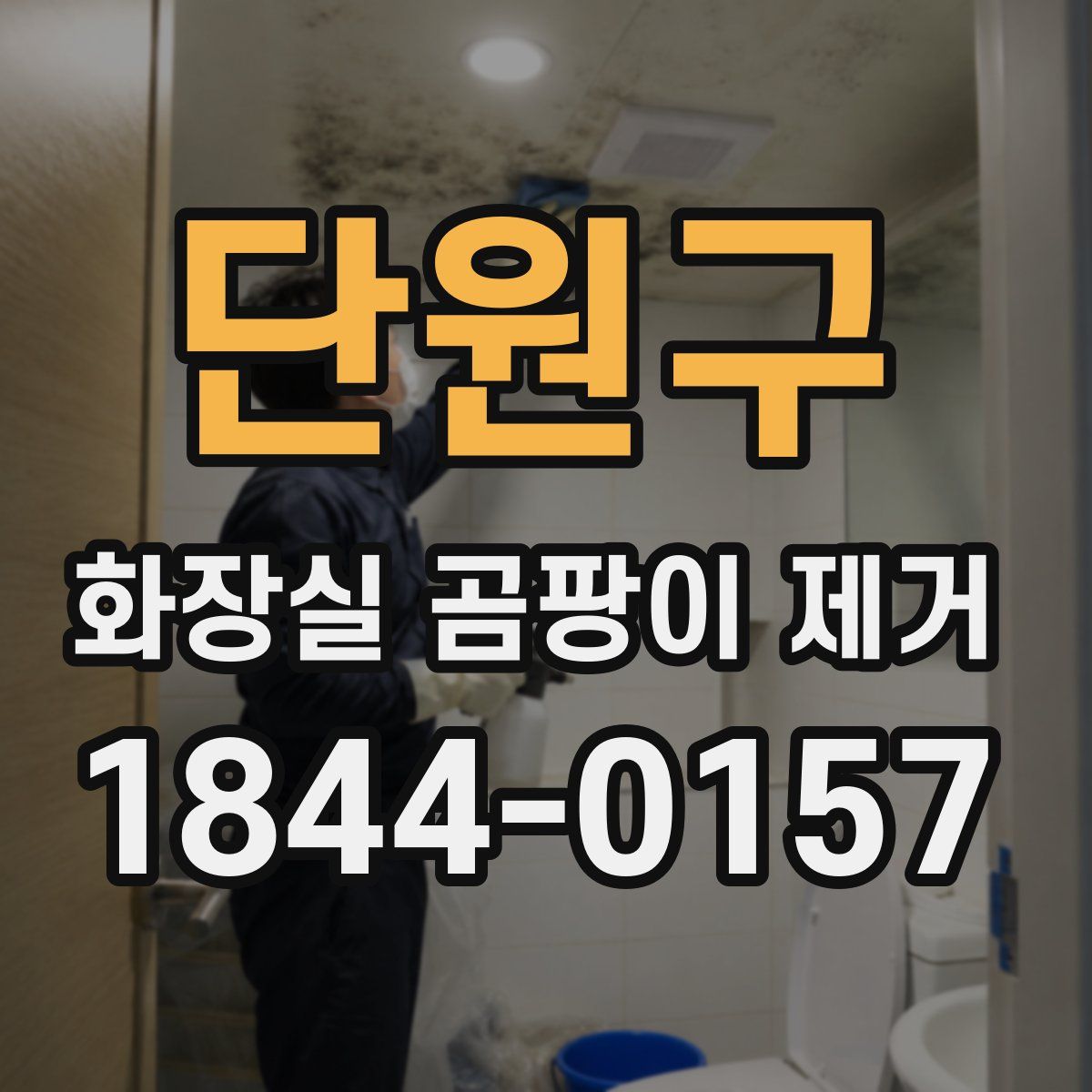 단원구 화장실 곰팡이 제거