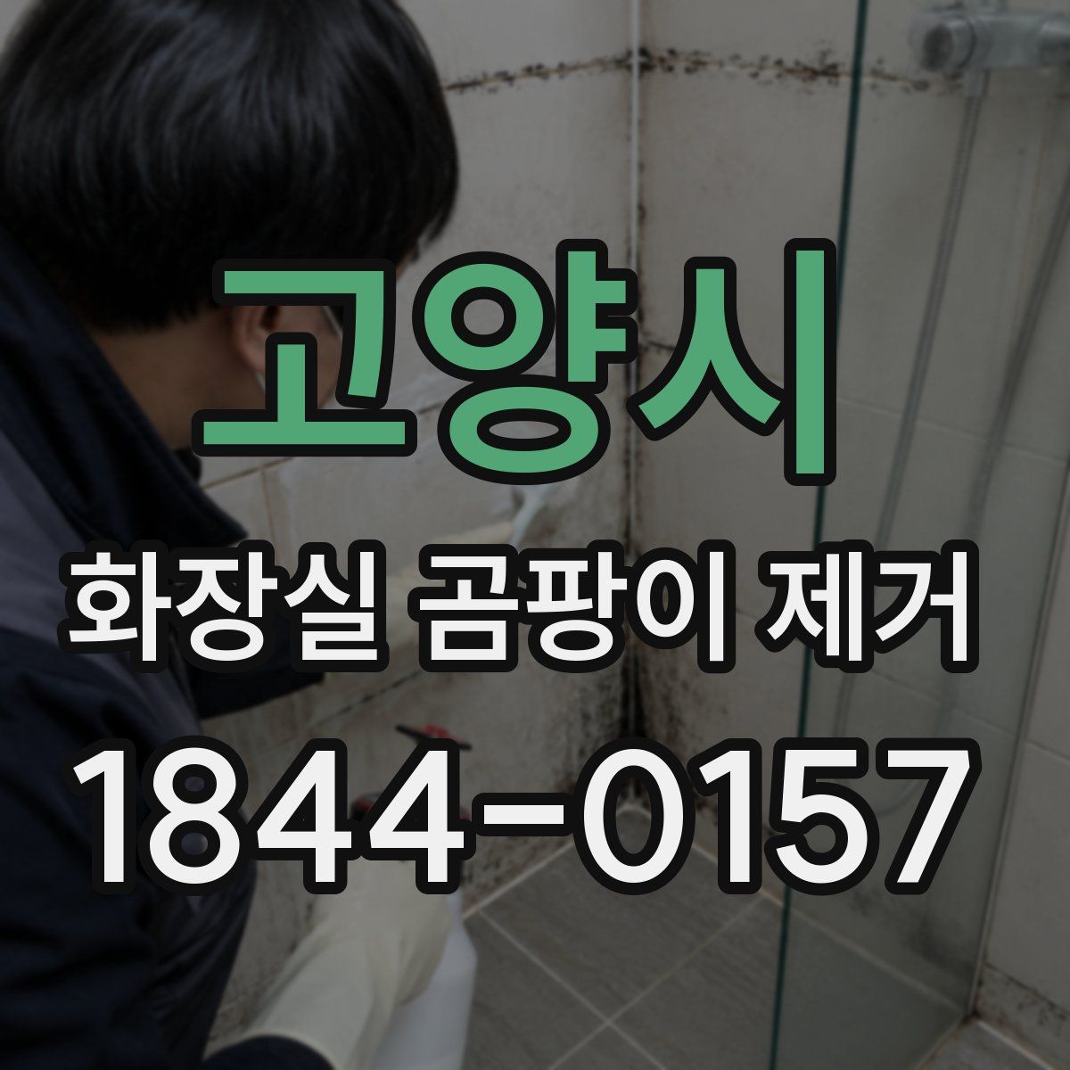 고양시 화장실 곰팡이 제거