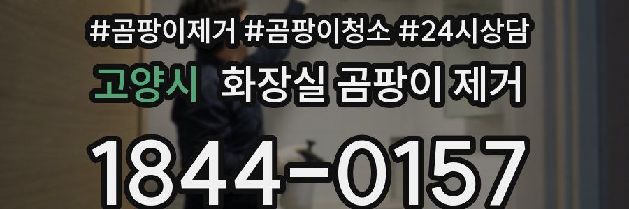 고양시 화장실 곰팡이 제거
