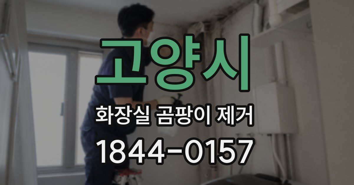 고양시 화장실 곰팡이 제거