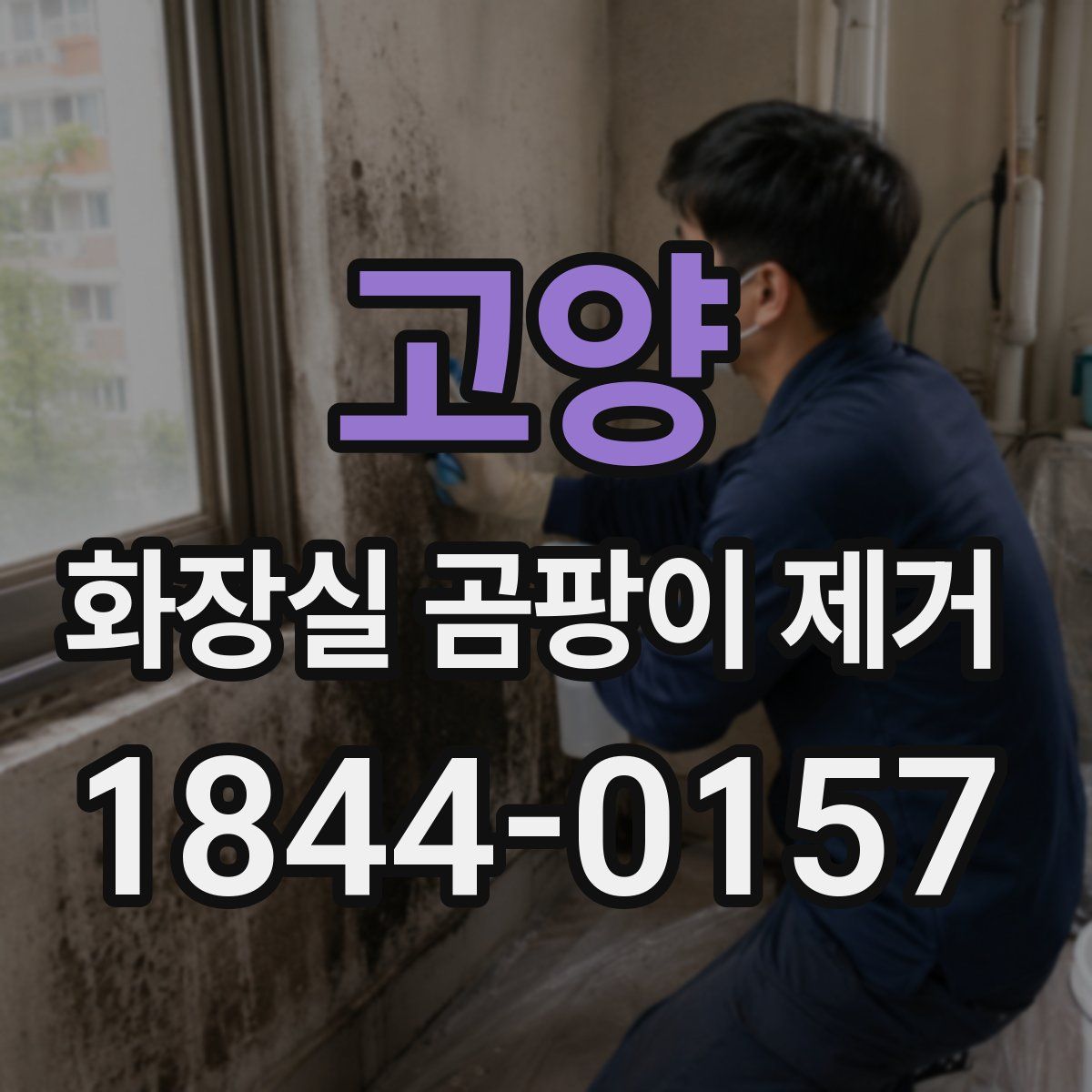 고양 화장실 곰팡이 제거