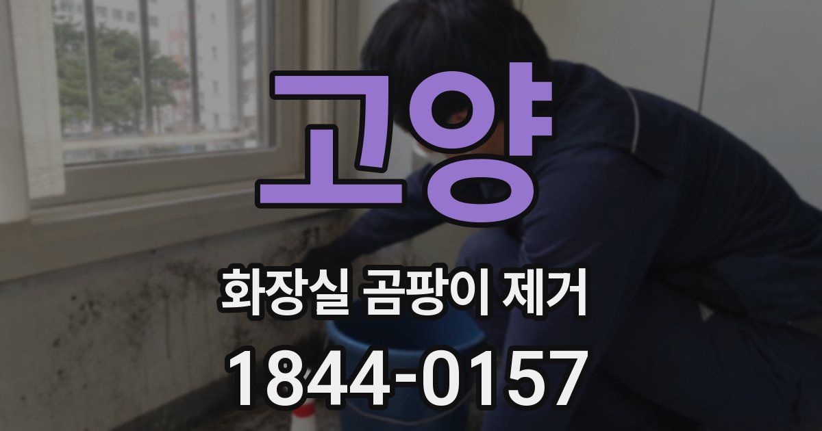 고양 화장실 곰팡이 제거