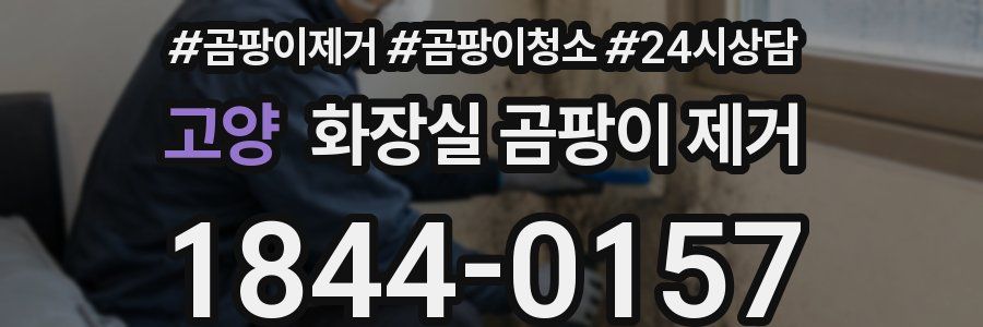 고양 화장실 곰팡이 제거
