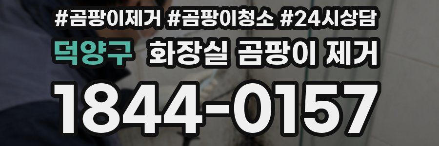 덕양구 화장실 곰팡이 제거