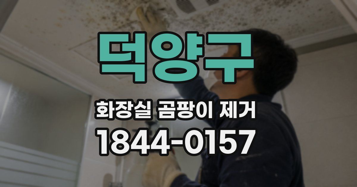 덕양구 화장실 곰팡이 제거