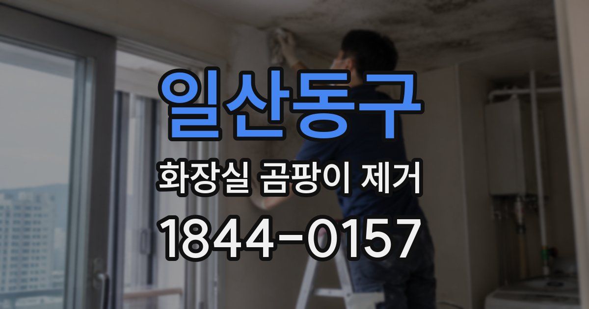 일산동구 화장실 곰팡이 제거