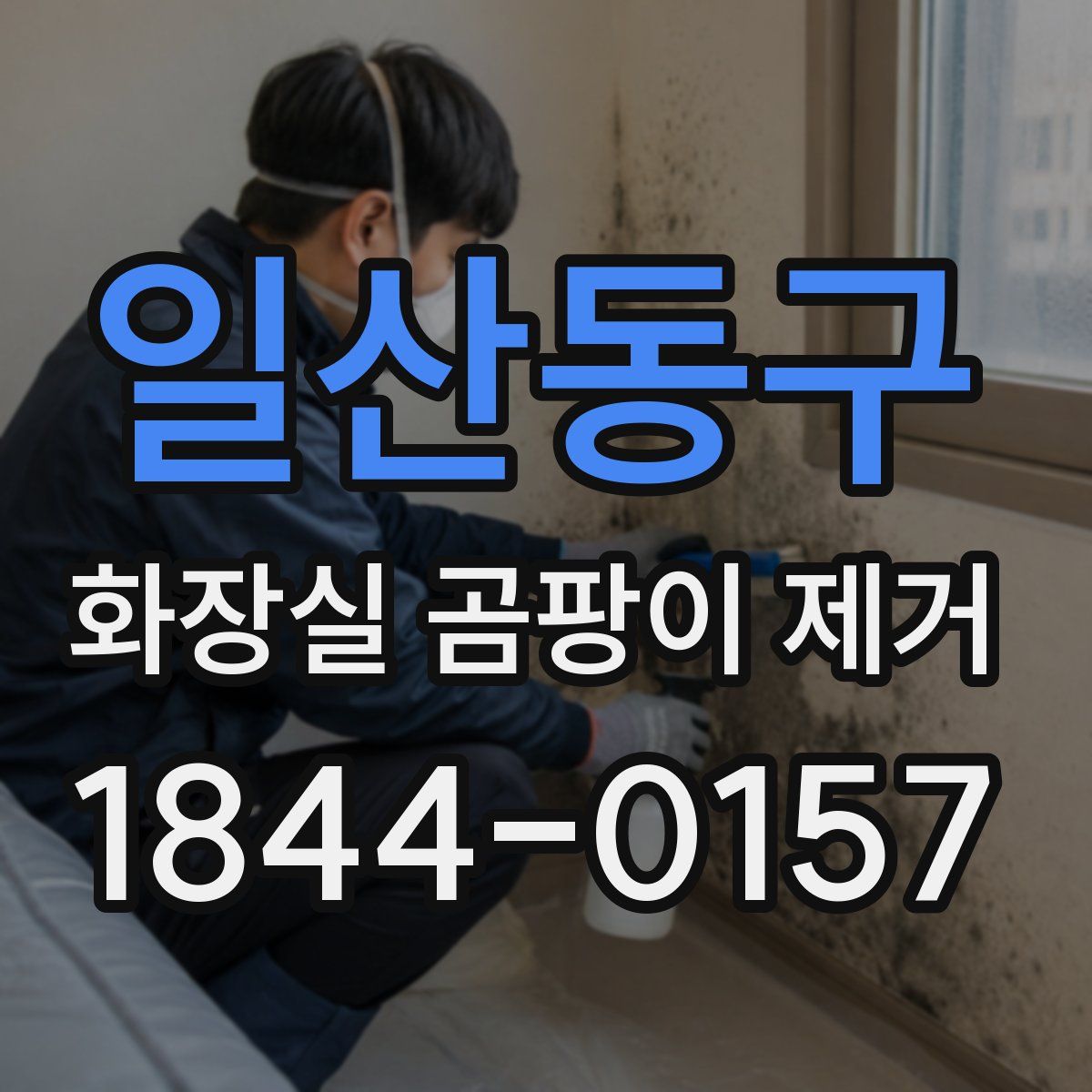 일산동구 화장실 곰팡이 제거