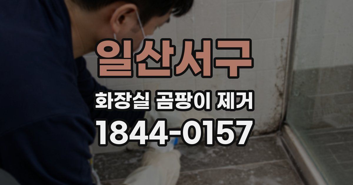 일산서구 화장실 곰팡이 제거