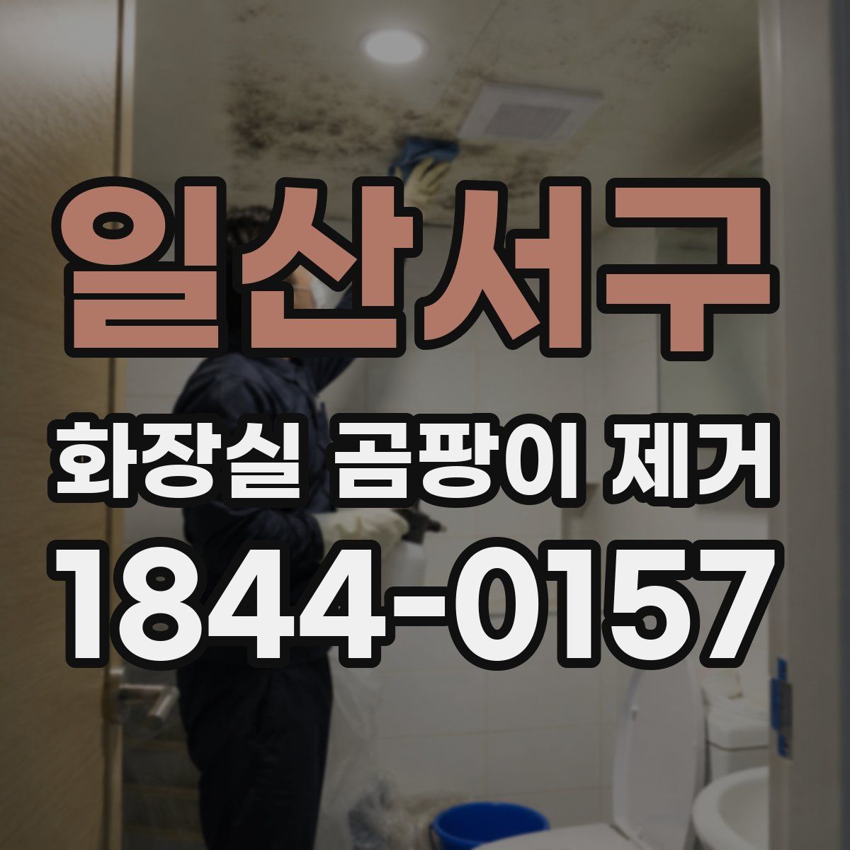 일산서구 화장실 곰팡이 제거
