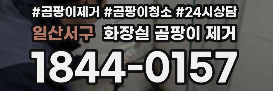 일산서구 화장실 곰팡이 제거