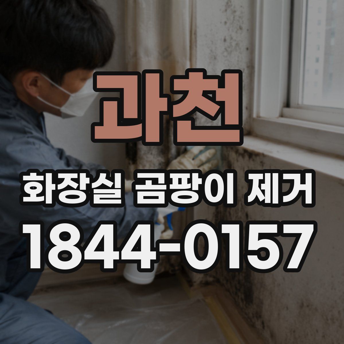 과천 화장실 곰팡이 제거