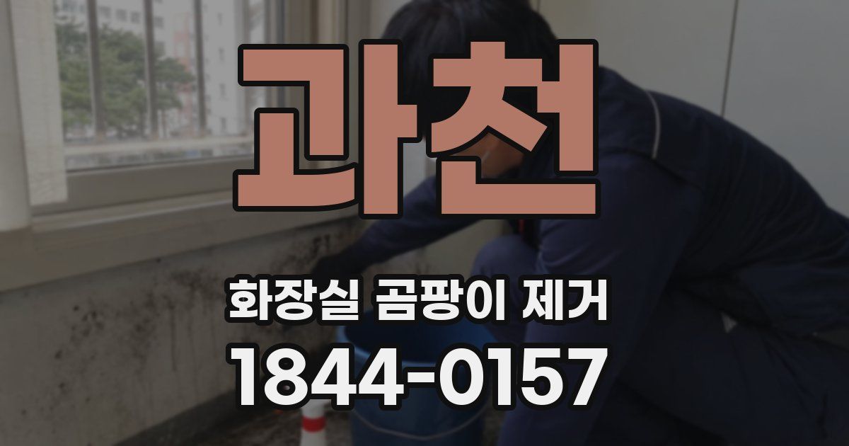 과천 화장실 곰팡이 제거