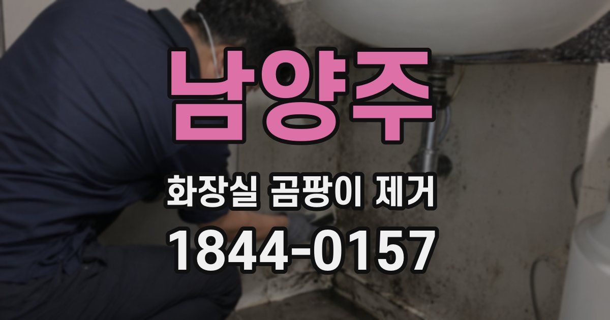 남양주 화장실 곰팡이 제거