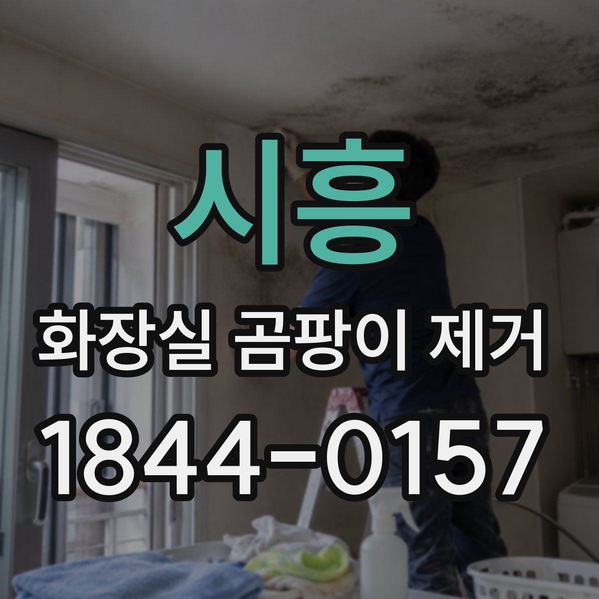시흥 화장실 곰팡이 제거