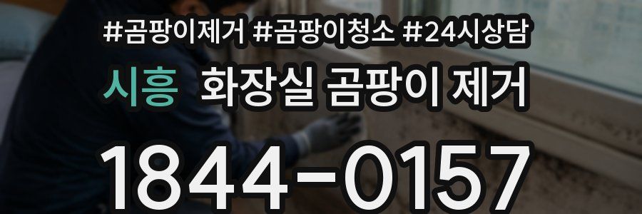 시흥 화장실 곰팡이 제거
