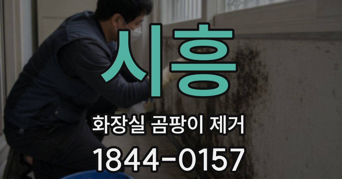 시흥 화장실 곰팡이 제거