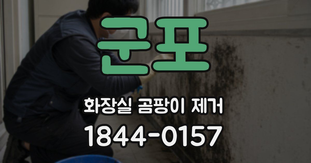 군포 화장실 곰팡이 제거