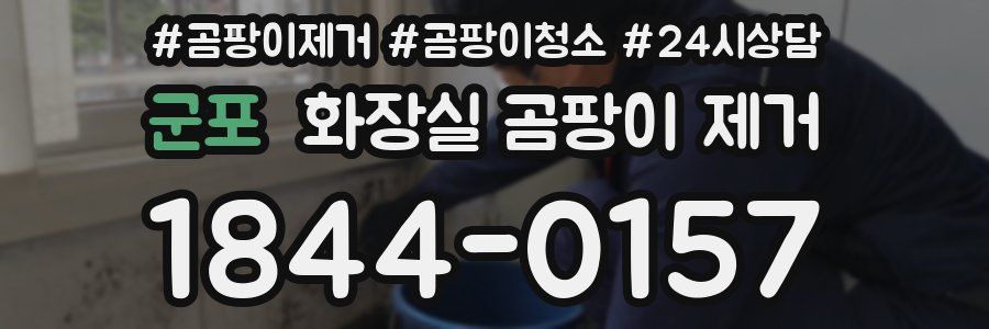 군포 화장실 곰팡이 제거