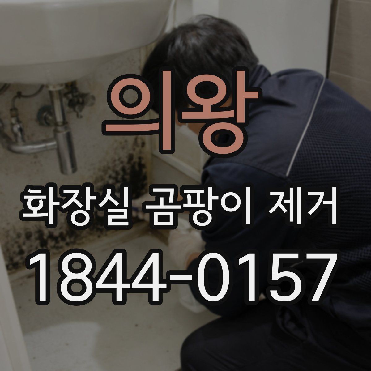 의왕 화장실 곰팡이 제거 천장과 벽 경계부부터 살펴야 하는 이유