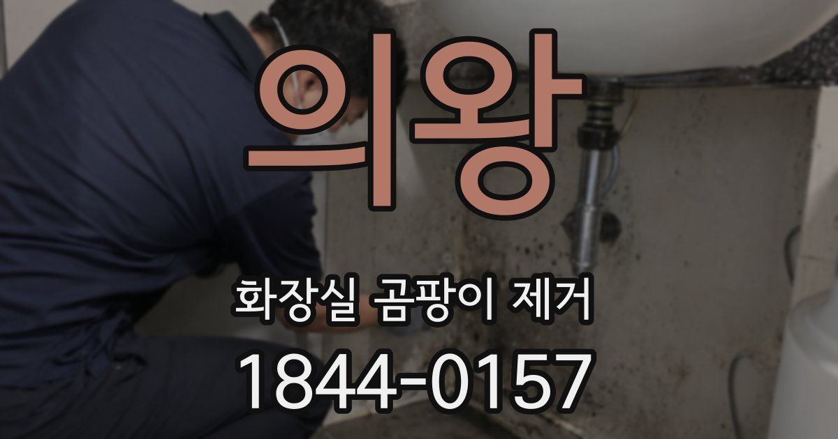 의왕 화장실 곰팡이 제거