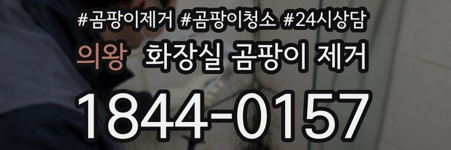 의왕 화장실 곰팡이 제거