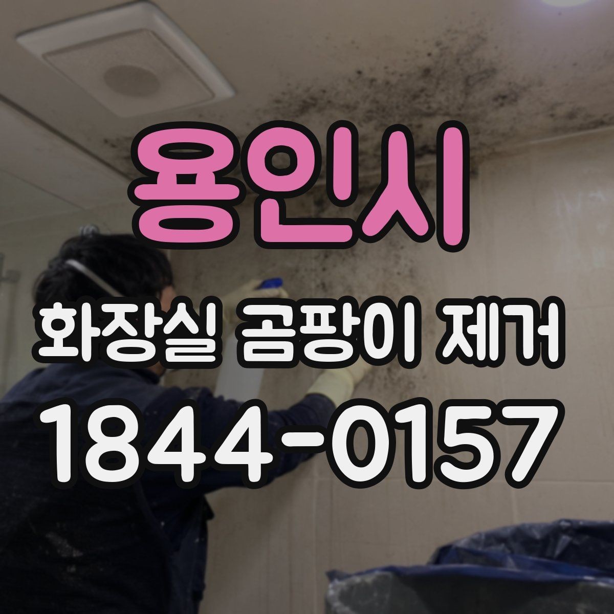 용인시 화장실 곰팡이 제거 벽면 오염이 쉽게 번지는 화장실 구조