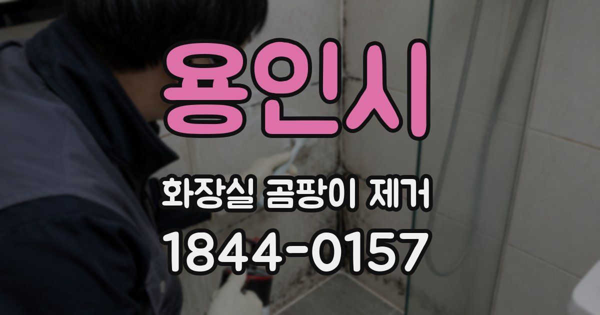 용인시 화장실 곰팡이 제거