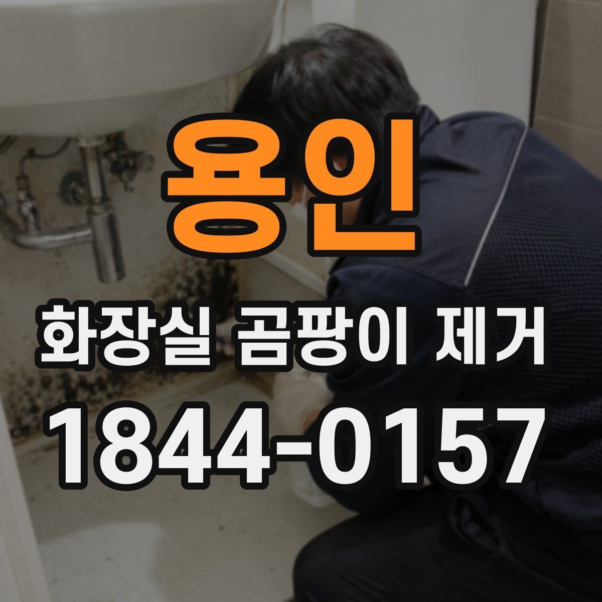 용인 화장실 곰팡이 제거 심한 오염은 전문 대응이 필요한 기준