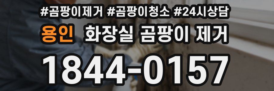 용인 화장실 곰팡이 제거