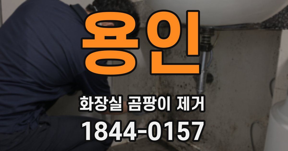 용인 화장실 곰팡이 제거
